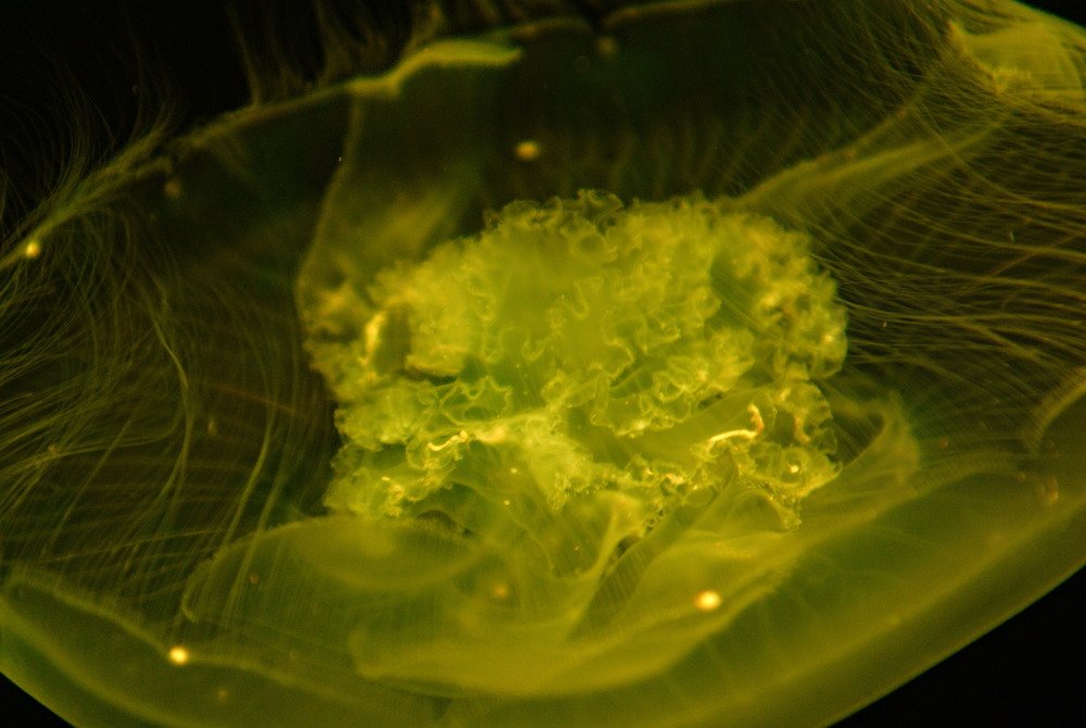 Photograph by Андрей Лебедев