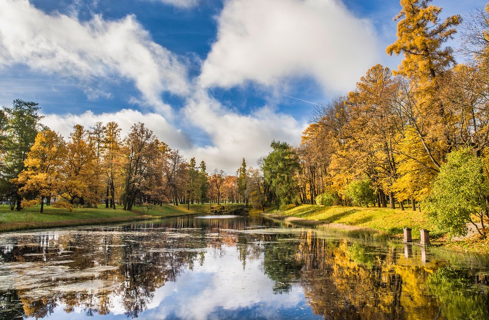 Photograph by Сергей Алексеев