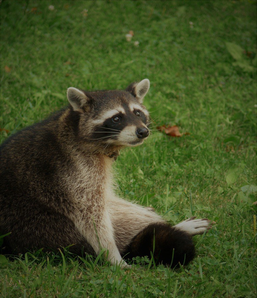 Photograph by Марина Игнатьева