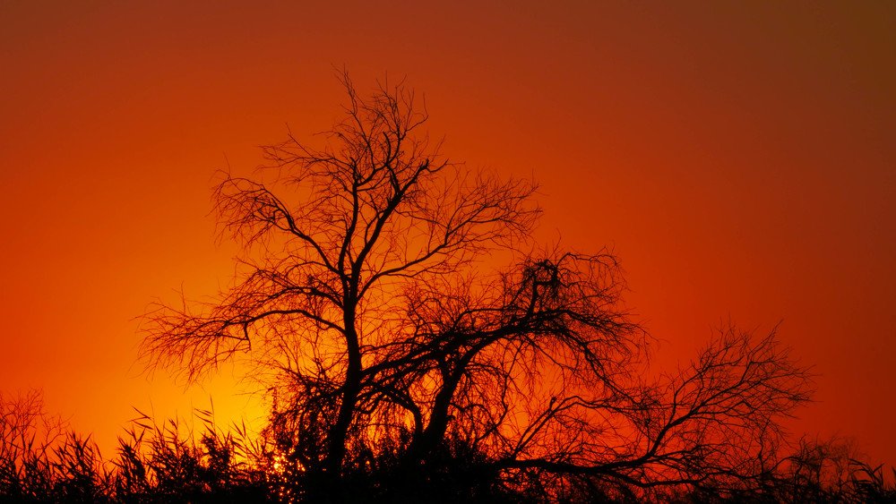 Photograph by Серікболсын Шері