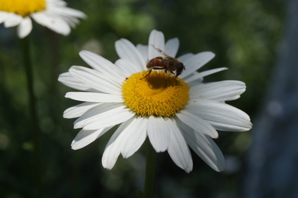Photograph by Oleg Guchgeldiyev