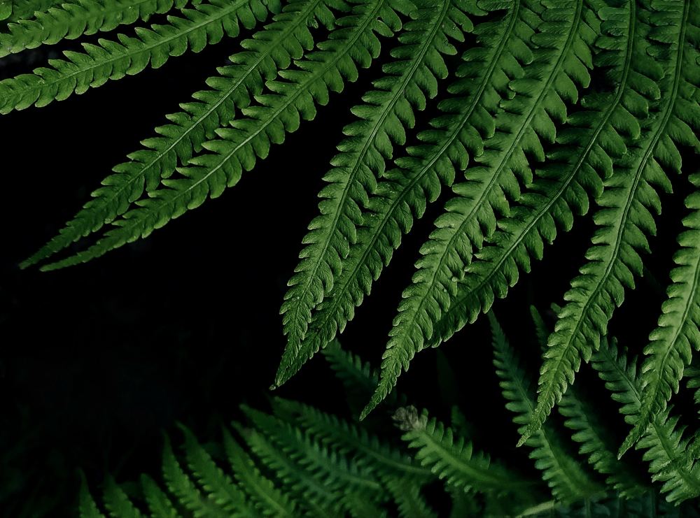 Photograph by Ирина Львова