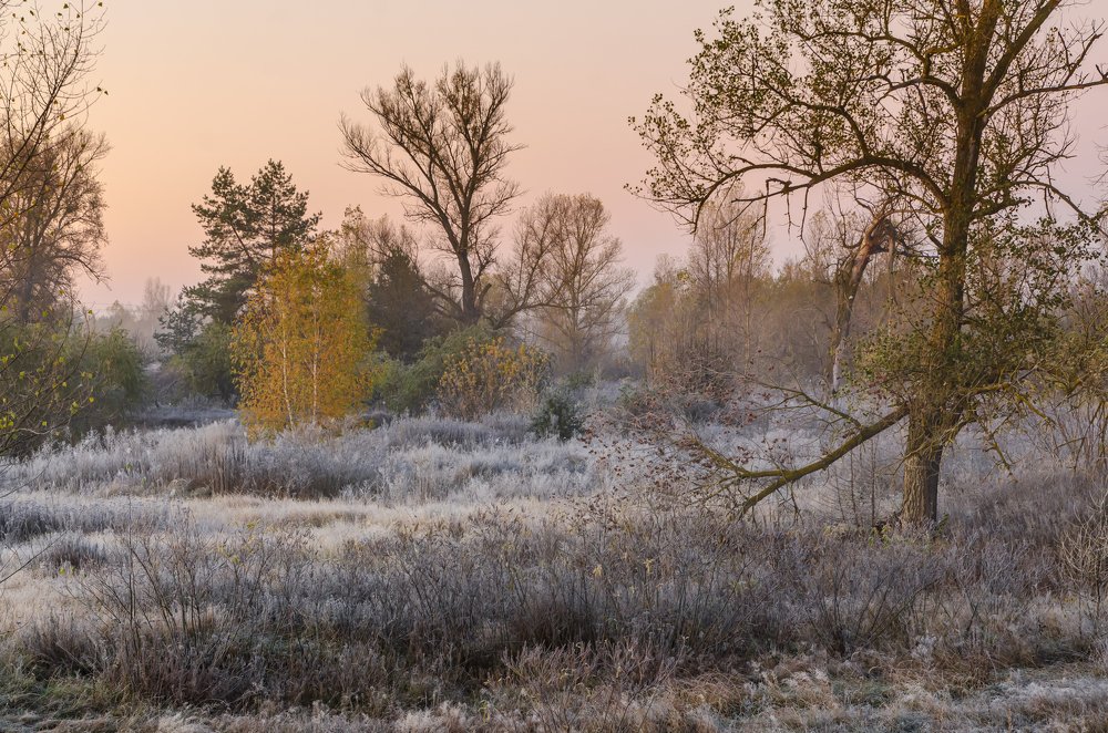 Photograph by Александр Кодак
