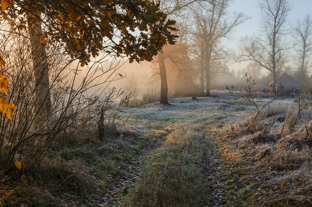 Photograph by Александр Кодак