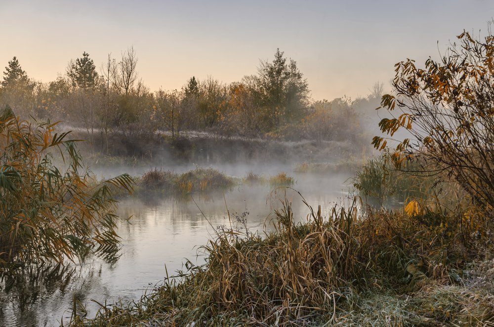 Photograph by Александр Кодак