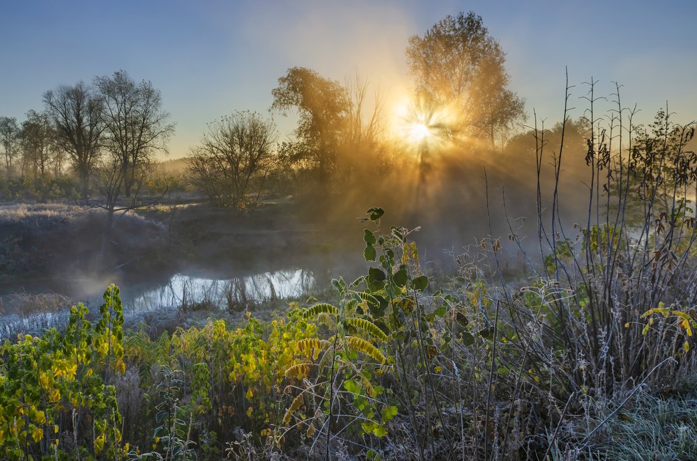 Photograph by Александр Кодак