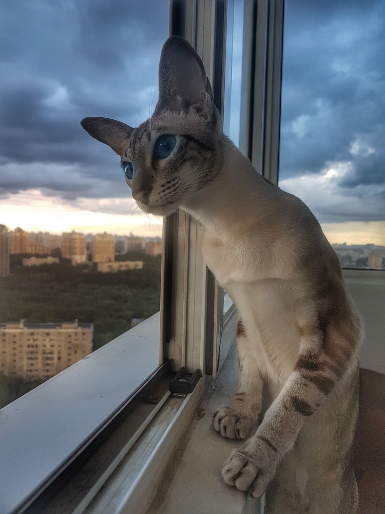 Под небом
