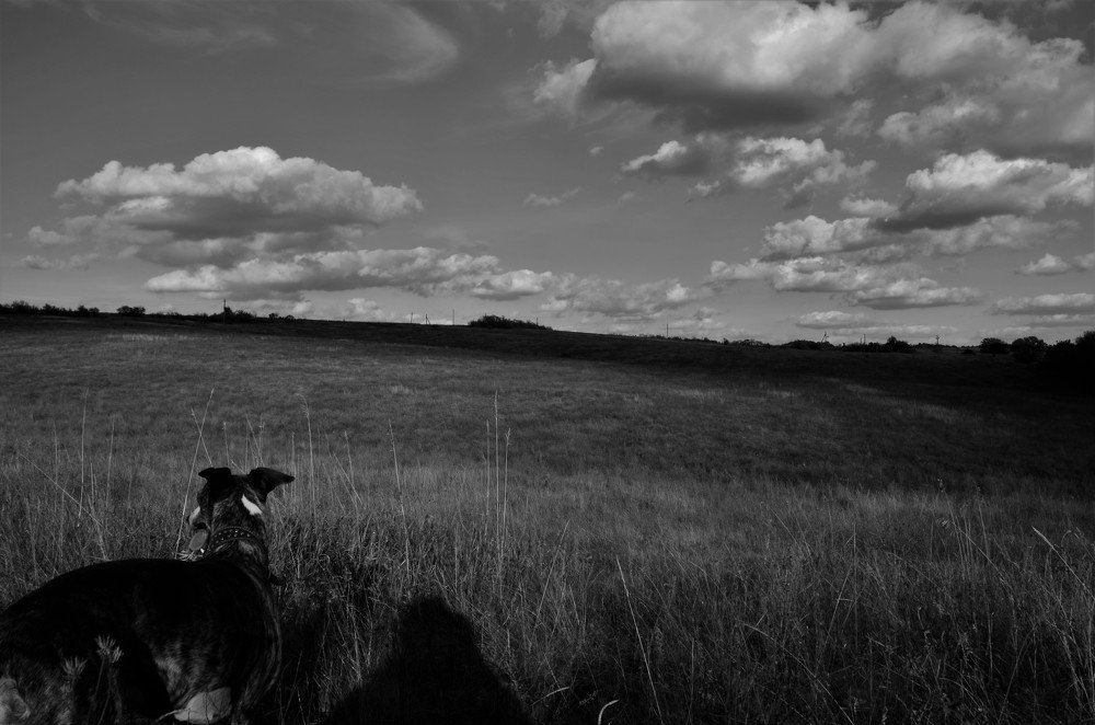 Облачный контраст