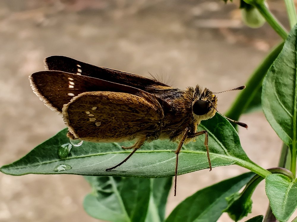 Photograph by Seethal Jose Anu