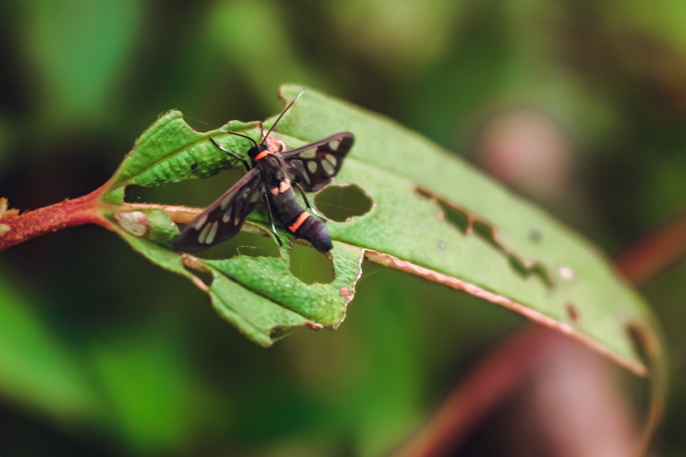 Photograph by Seethal Jose Anu