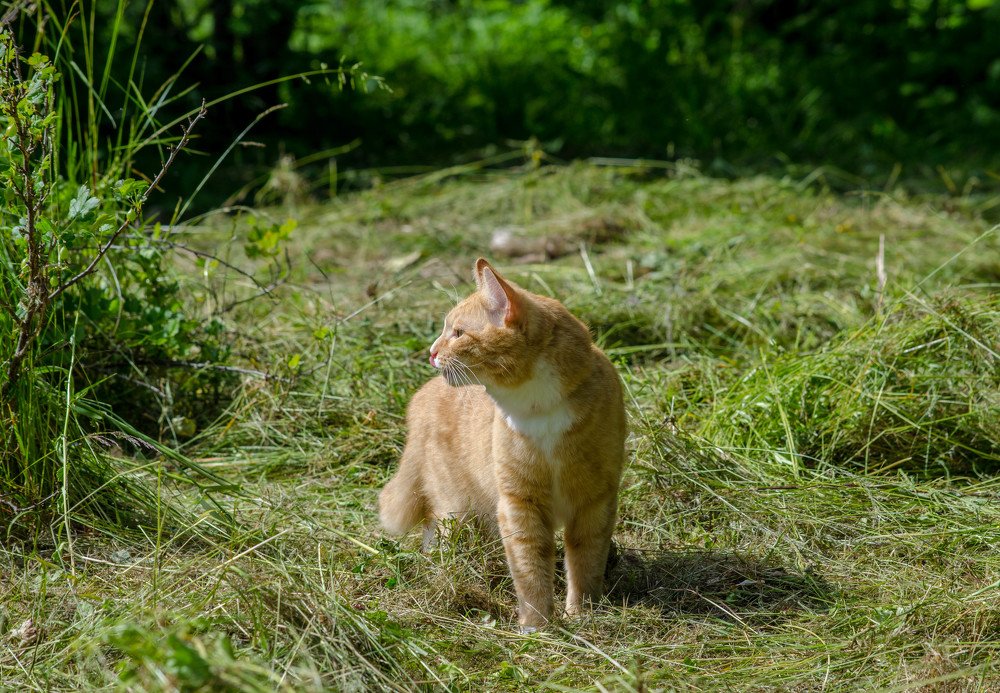 Photograph by Ирина