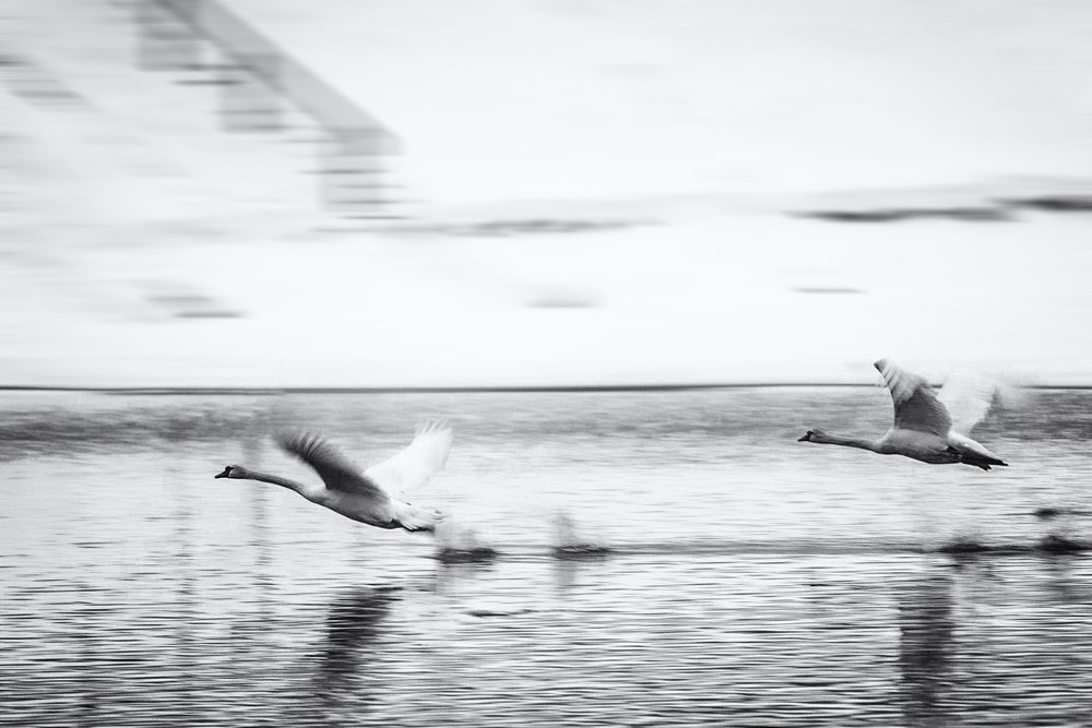 Photograph by Владимир Штыриков