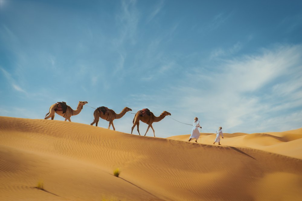 Photograph by Hussain Al-Qwaidhi