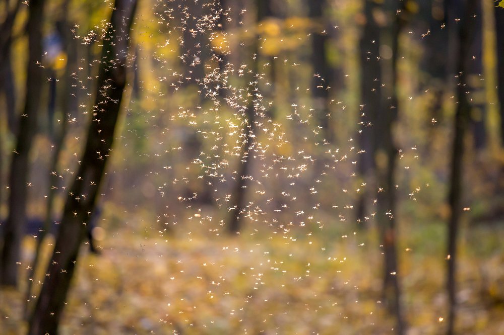 Photograph by Евгения Бочарова