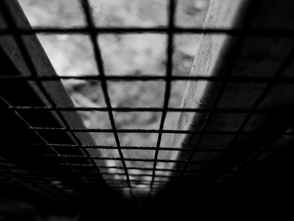 Photograph by Seethal Jose Anu