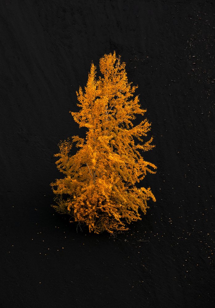 Photograph by Евгений Гецев