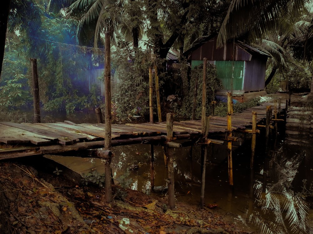Photograph by Ekramul Siddique