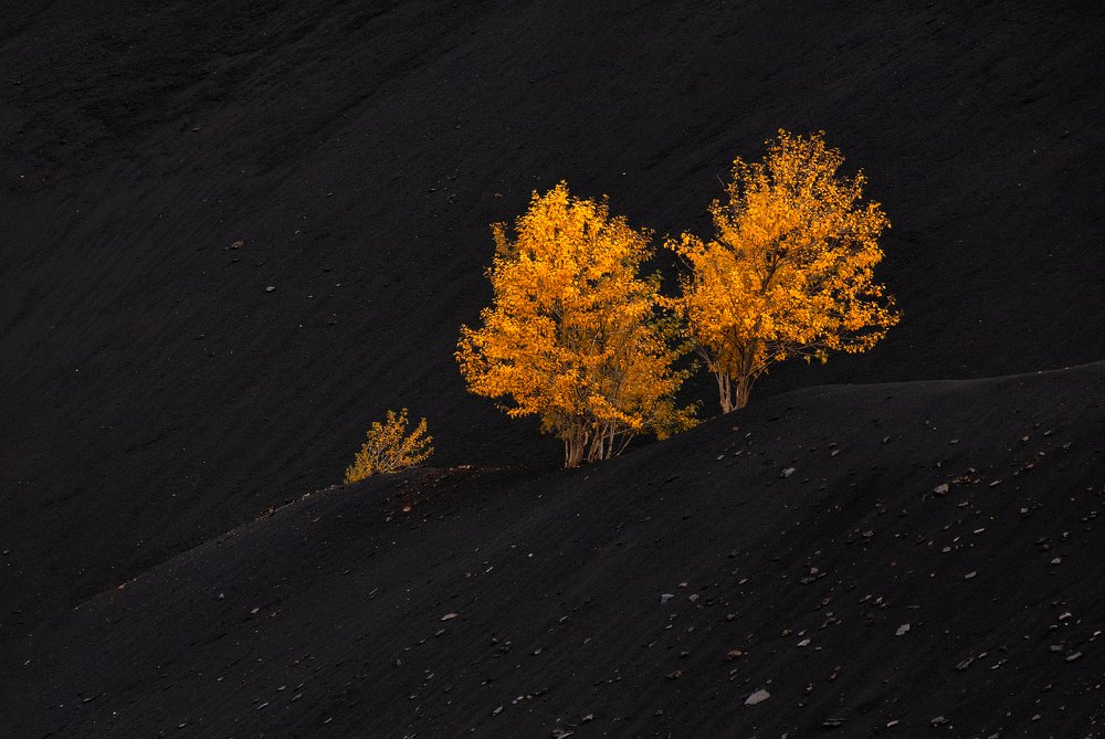 Photograph by Евгений Гецев