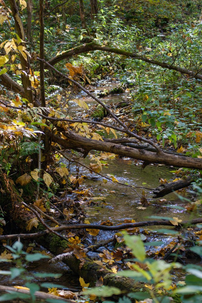 Photograph by Денис Геранькин