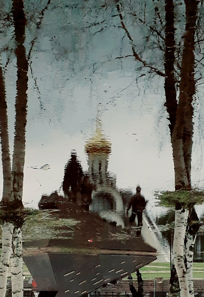 Родные березы не спят.