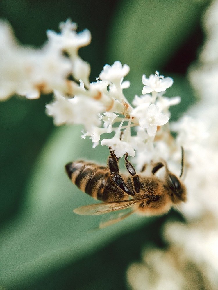 Photograph by Ирина Львова