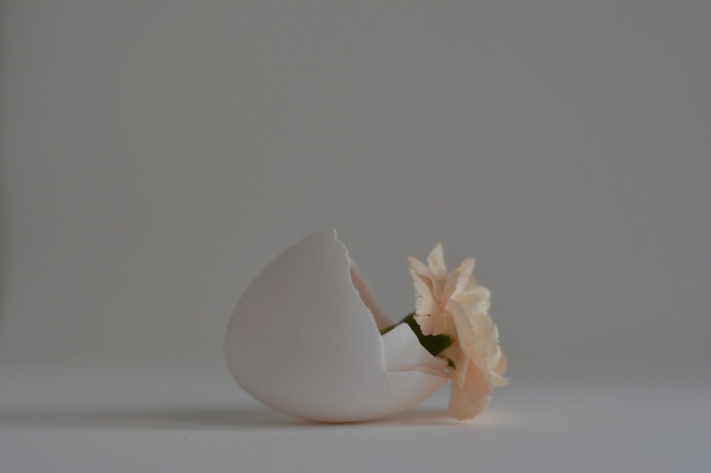 Photograph by Xenia Salonen