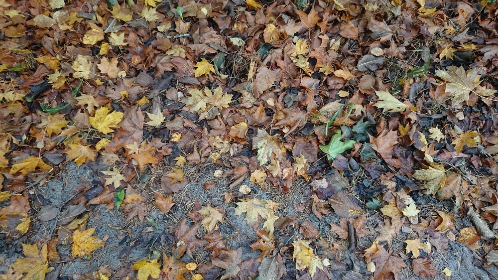 Photograph by Ludmila Batakova