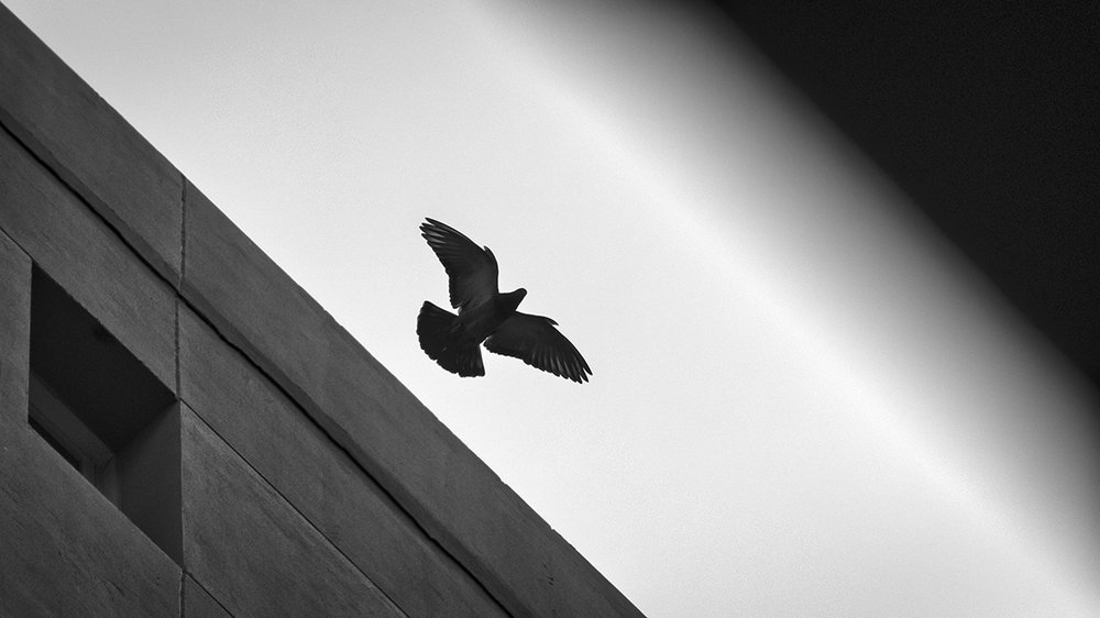 Photograph by Manjri Saxena