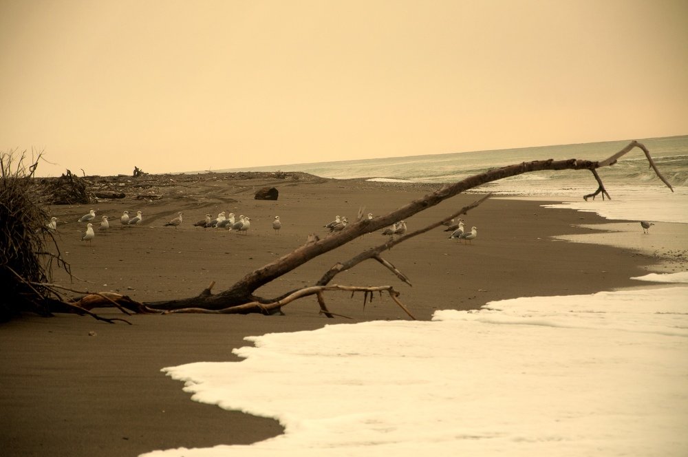 Осень пришла k морю