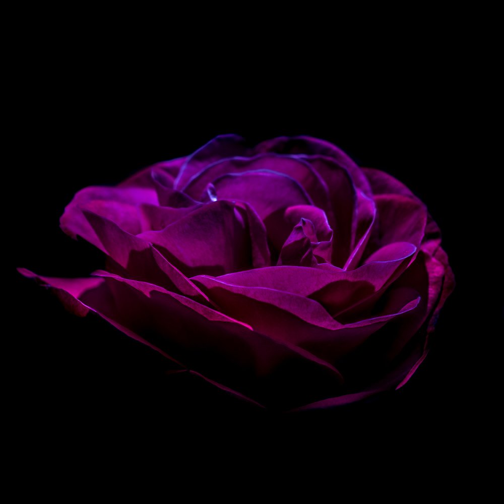 Photograph by Ivona Zubakova