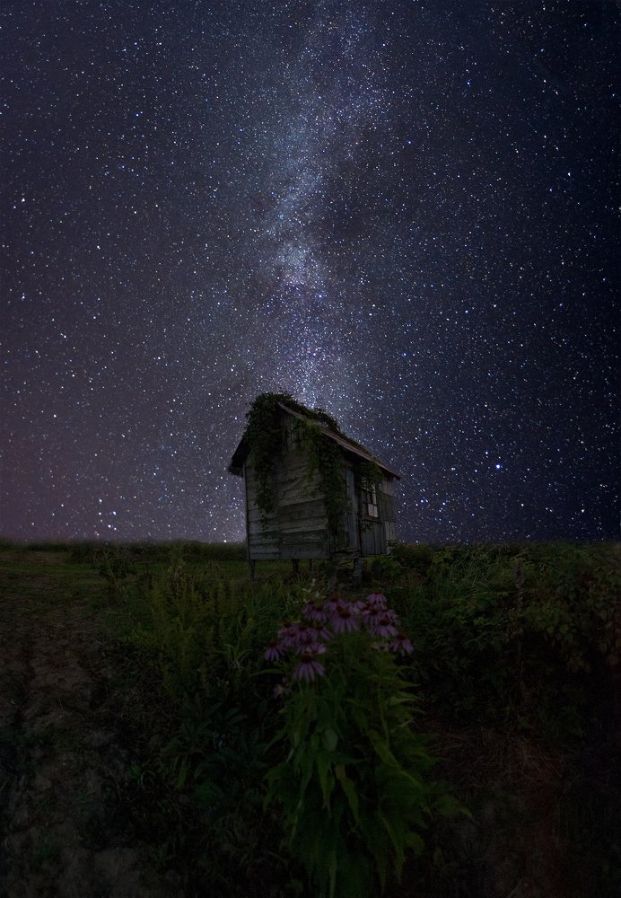 Шепот звезд