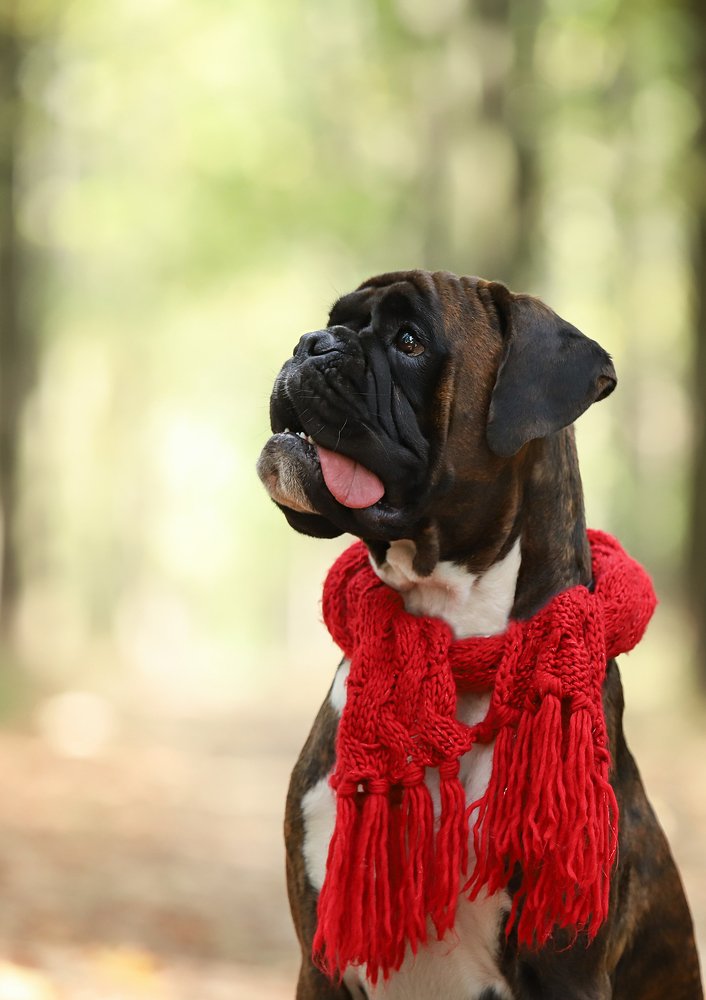 Photograph by Титаренко Ольга