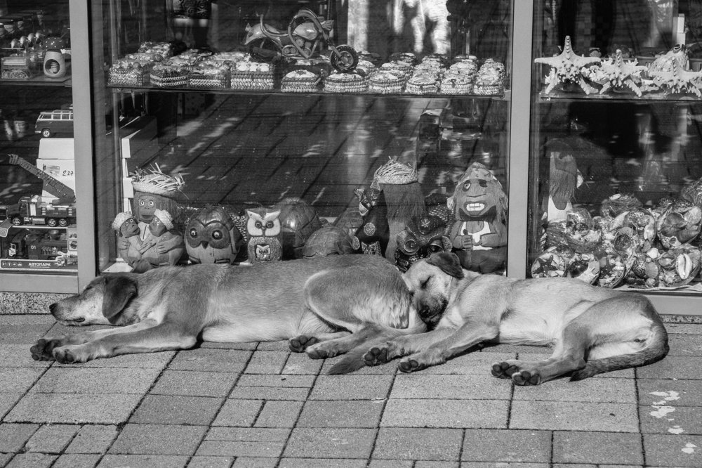 Photograph by Ольга Козлова