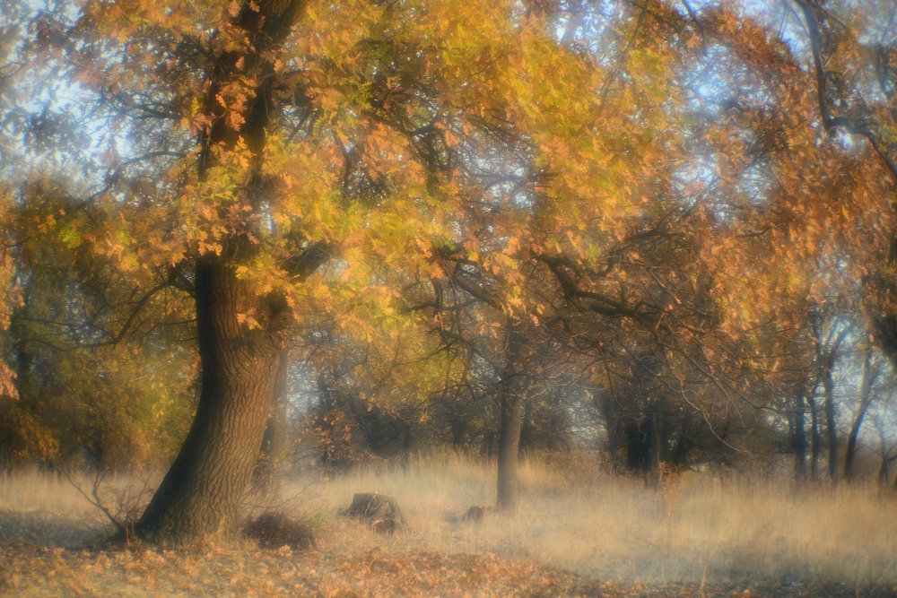 Фотография автора Игорь Баранов