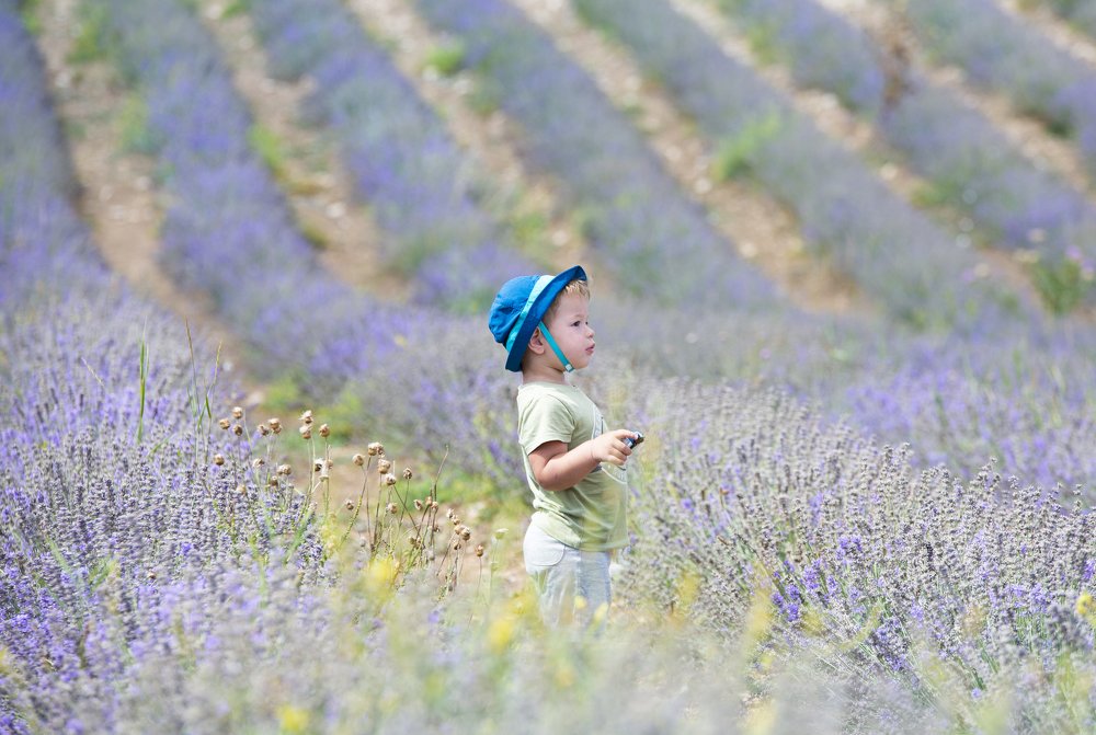 Photograph by Вадим Сташкевич