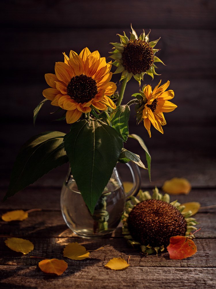 Подсолнушки