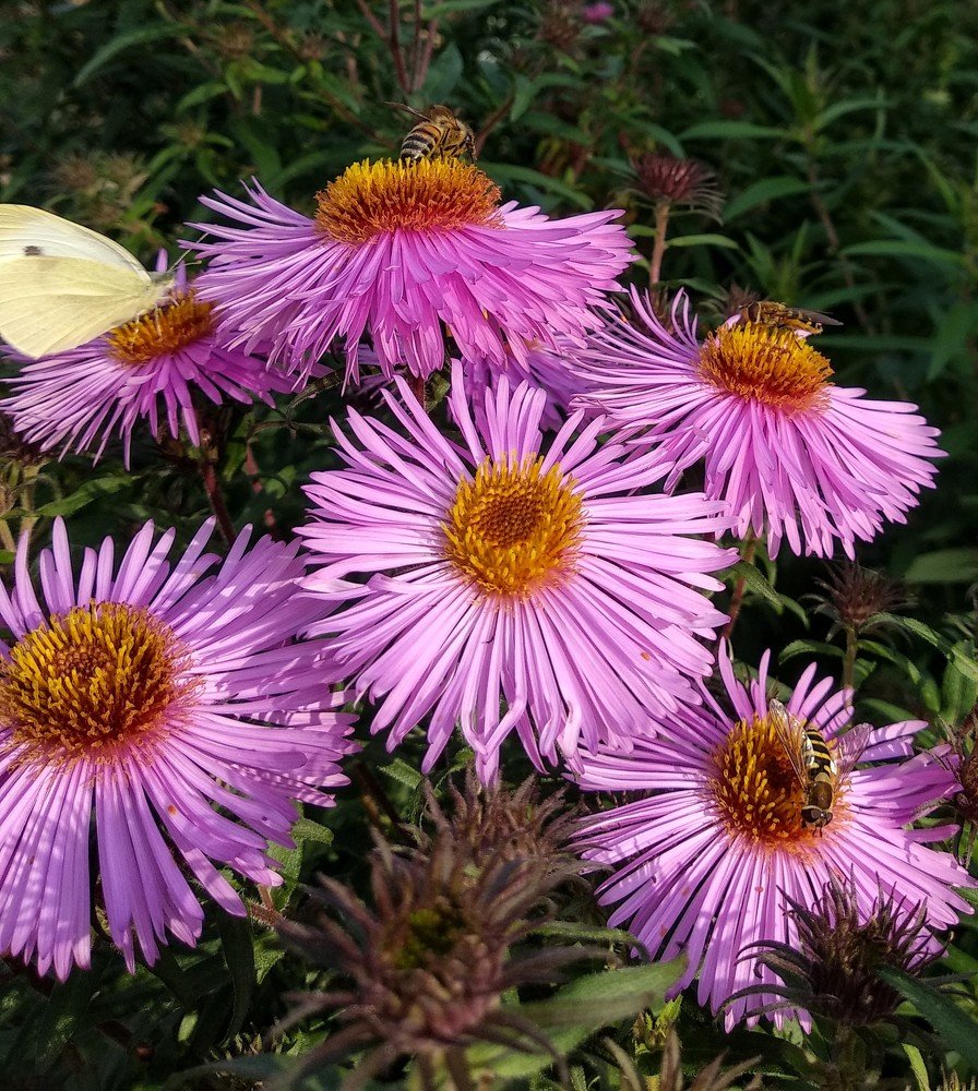 Photograph by Марина Мишина