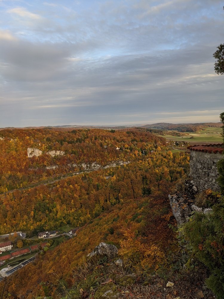 Photo #5173267
