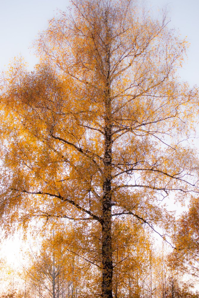 Photograph by Денис Геранькин