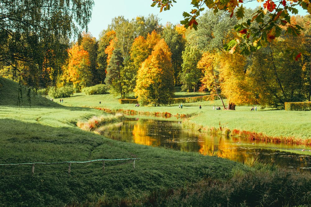 Photograph by Сергей Крайчик