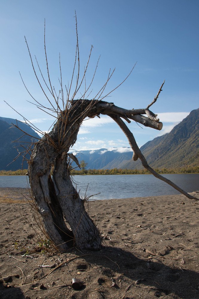 Photograph by Елена Станькова