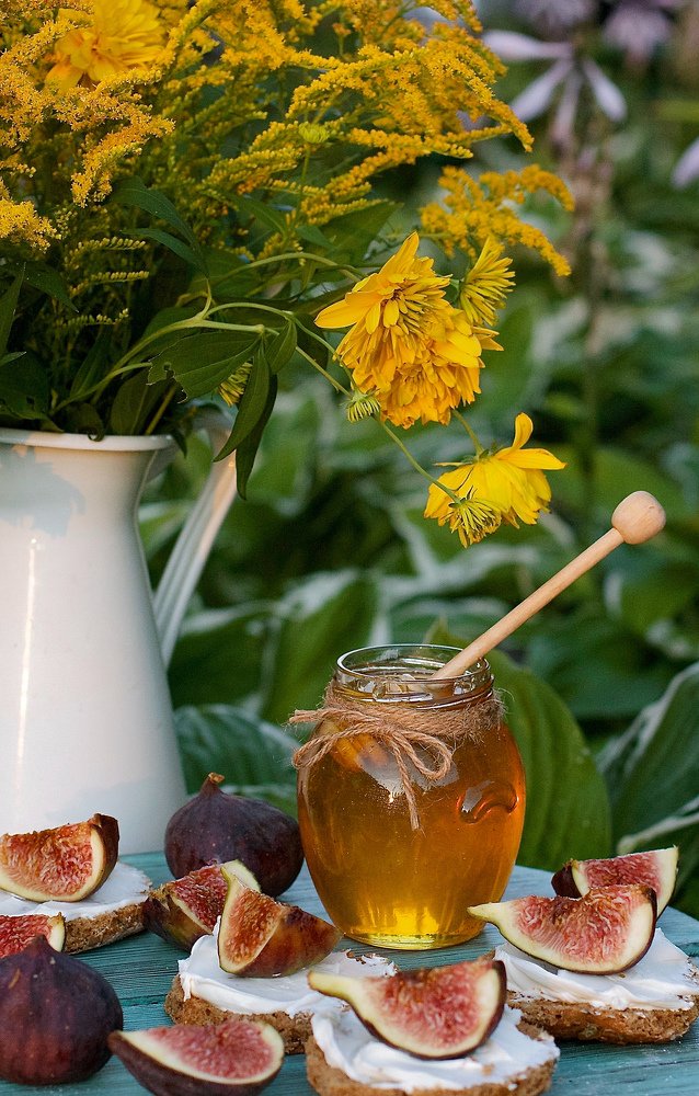 Photograph by Елена Новикова