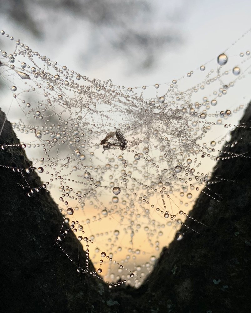 Photograph by Алексей Тихонов