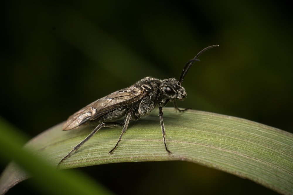 Photograph by Денис Шарунов