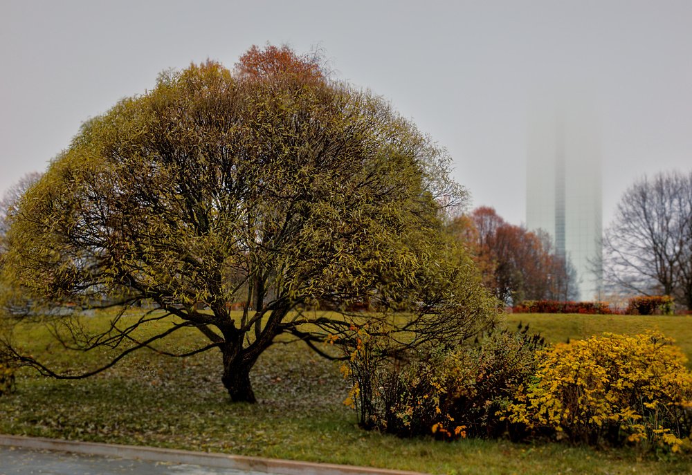Photograph by Александр Поляк-Брагинский