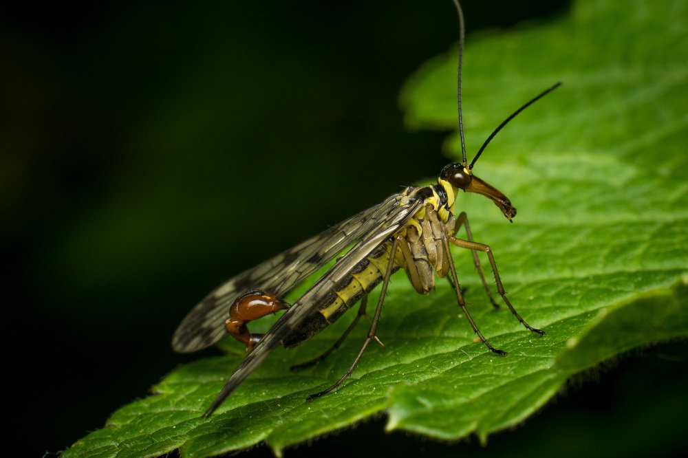 Photograph by Денис Шарунов