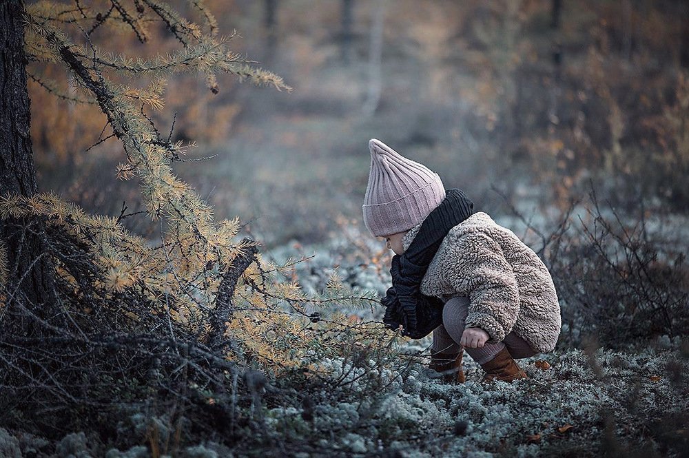 Photograph by Татьяна Паламарчук