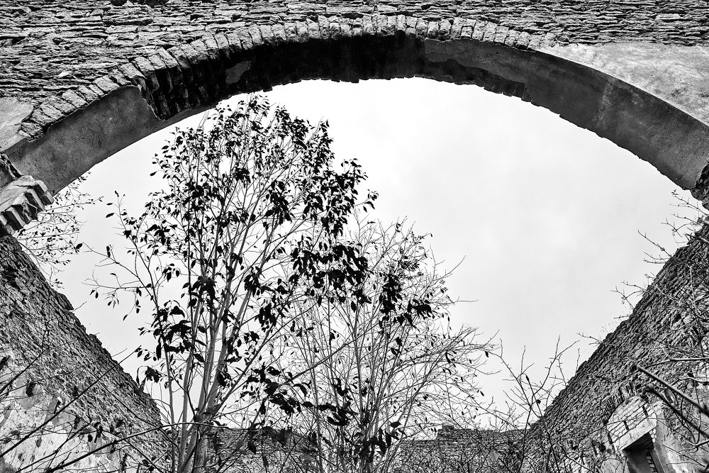 Photograph by Sergei Nehhožin