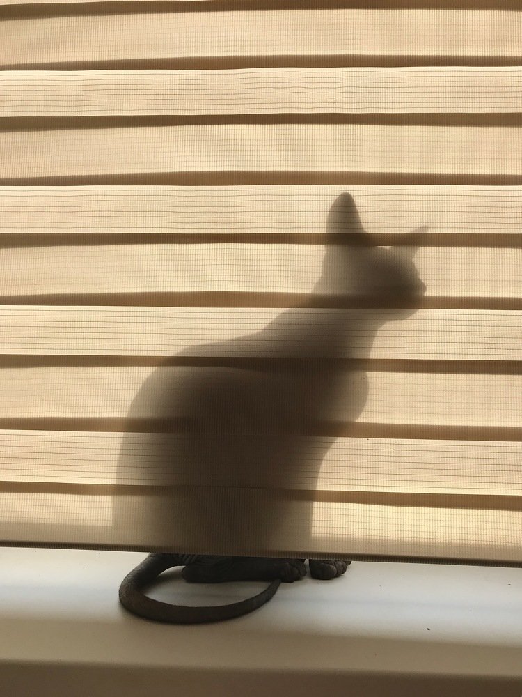 Photograph by Татьяна Машина