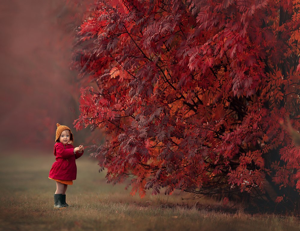 Photograph by Гузель Сабирова